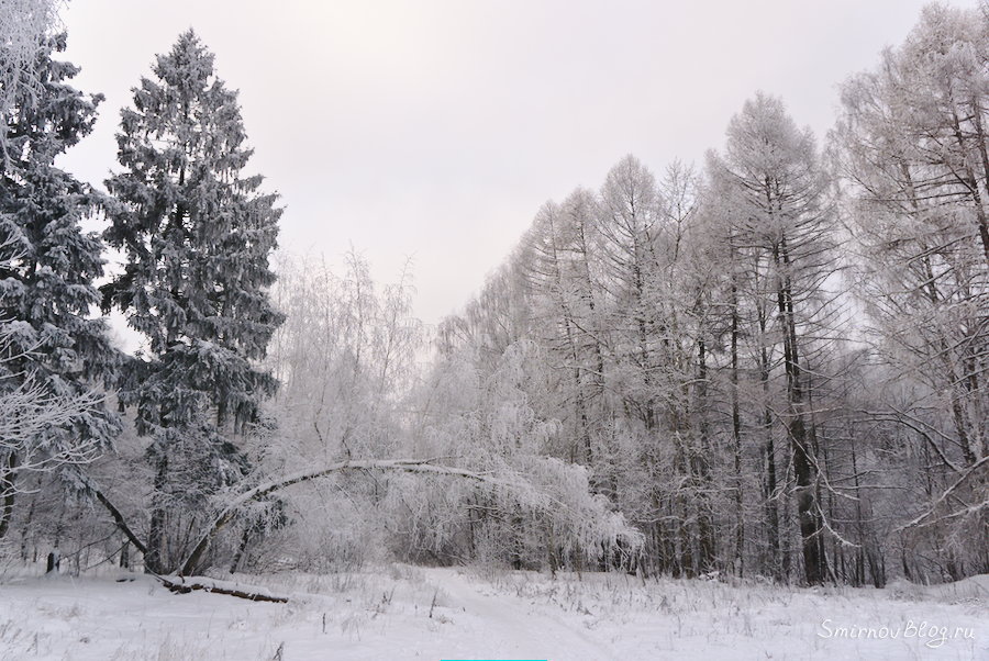Хочется снега Хочется снега