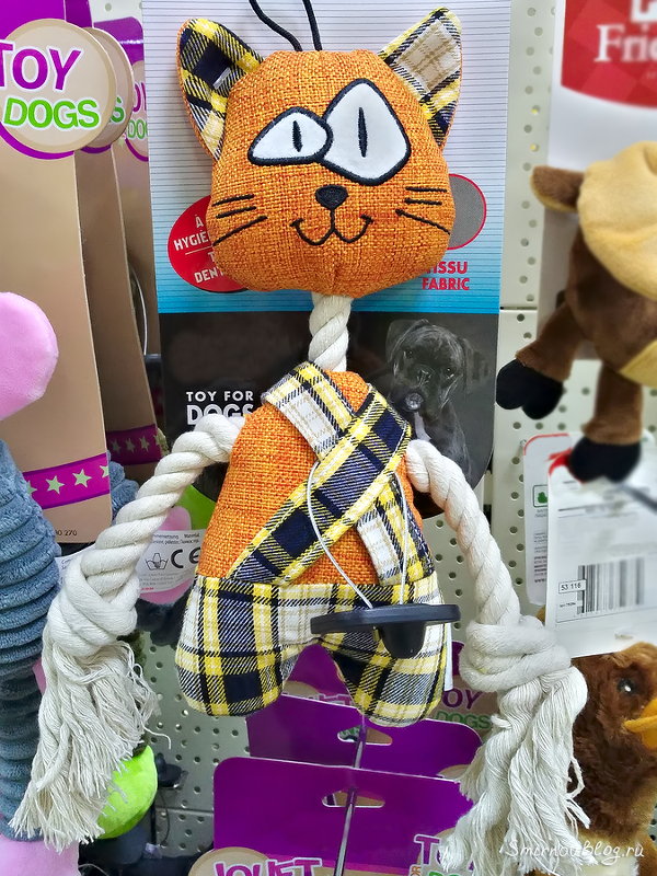 Что щенок Джек Рассел Терьера может сделать с игрушкой Что щенок Джек Рассел Терьера может сделать с игрушкой