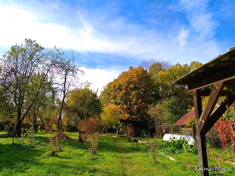 Итоги нашего 2020-го