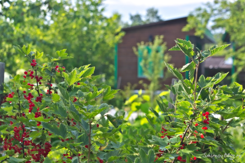 Любимое время года