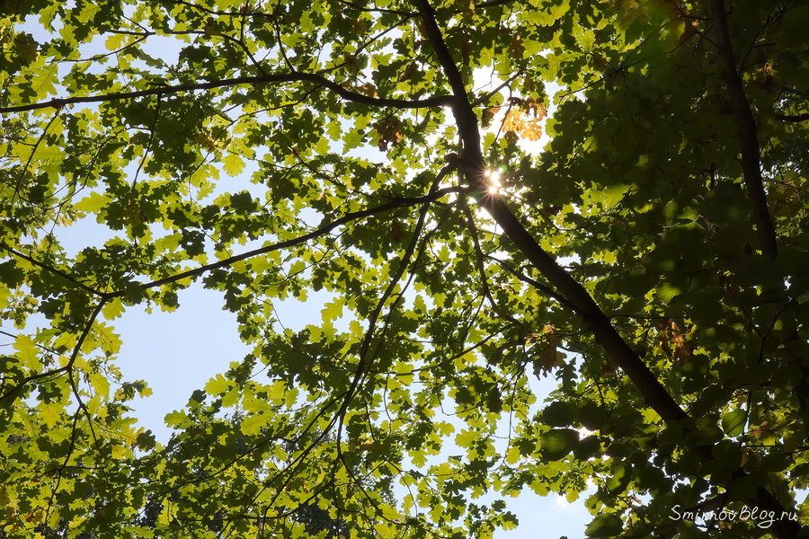 Самое моё короткое видео Самое моё короткое видео