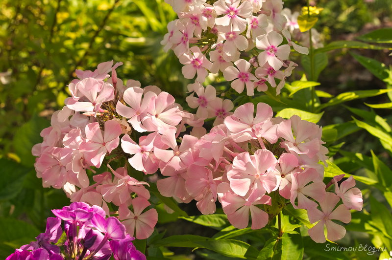 Надоела зима