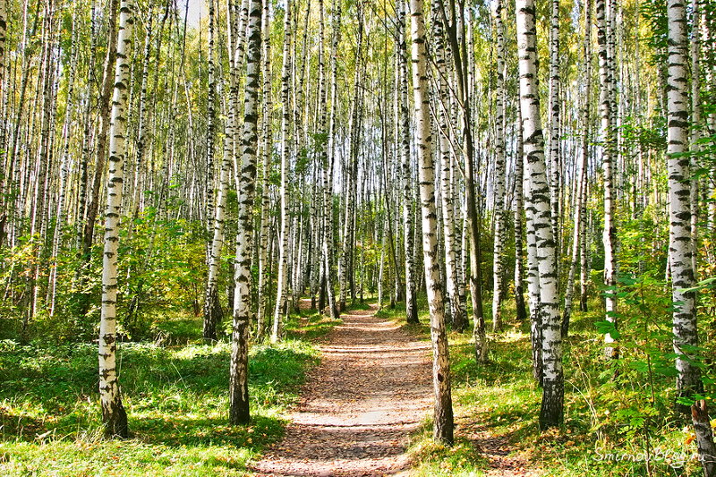 Надоела зима