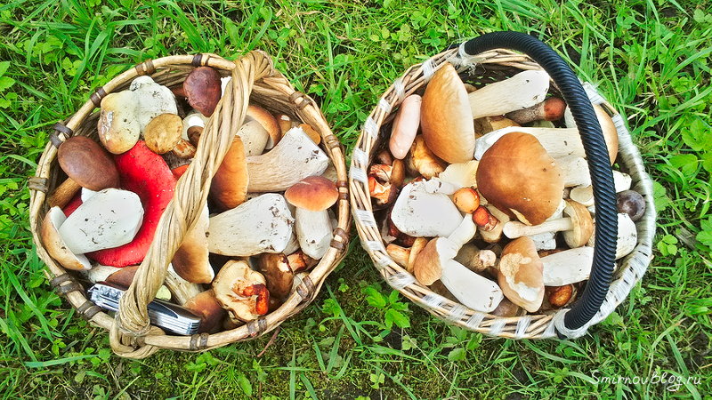 Надоела зима