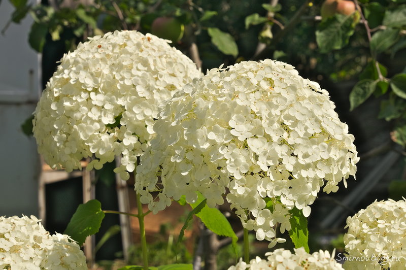 Надоела зима