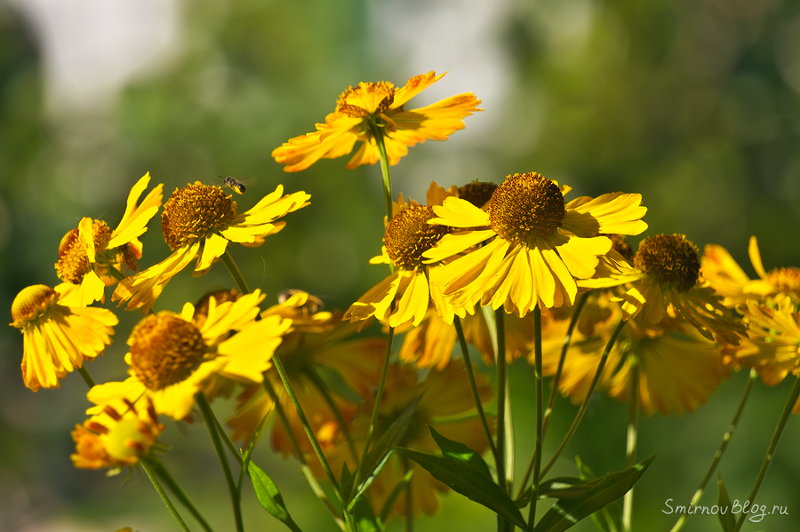 Надоела зима