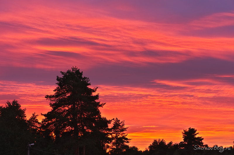 Надоела зима