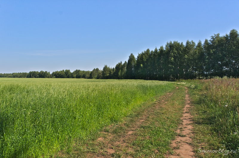 Надоела зима