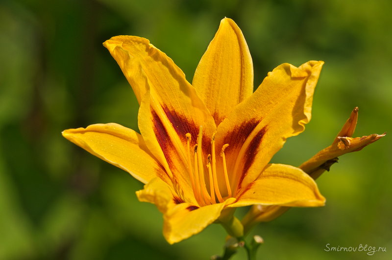 Надоела зима