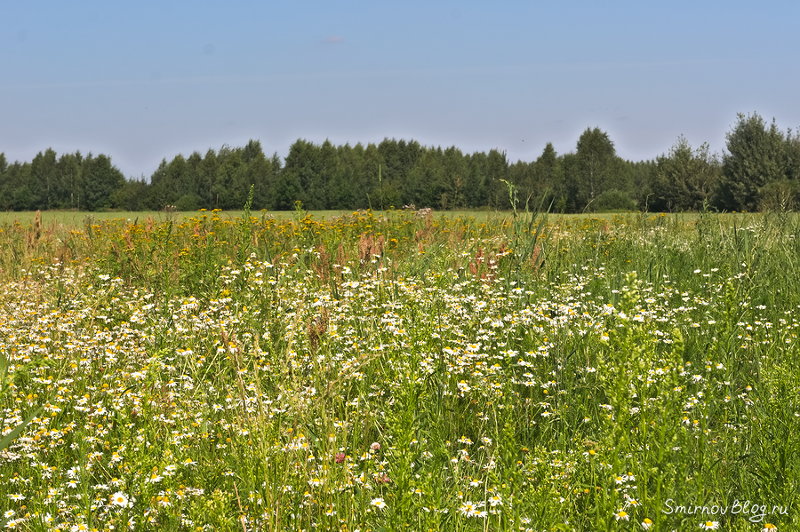 Надоела зима