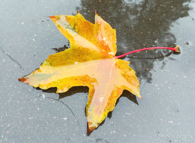 Плохая погода или дело в нашем отношении к ней?