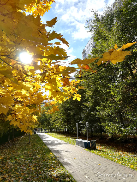 Московская осень