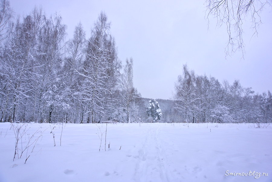 Правильная зима