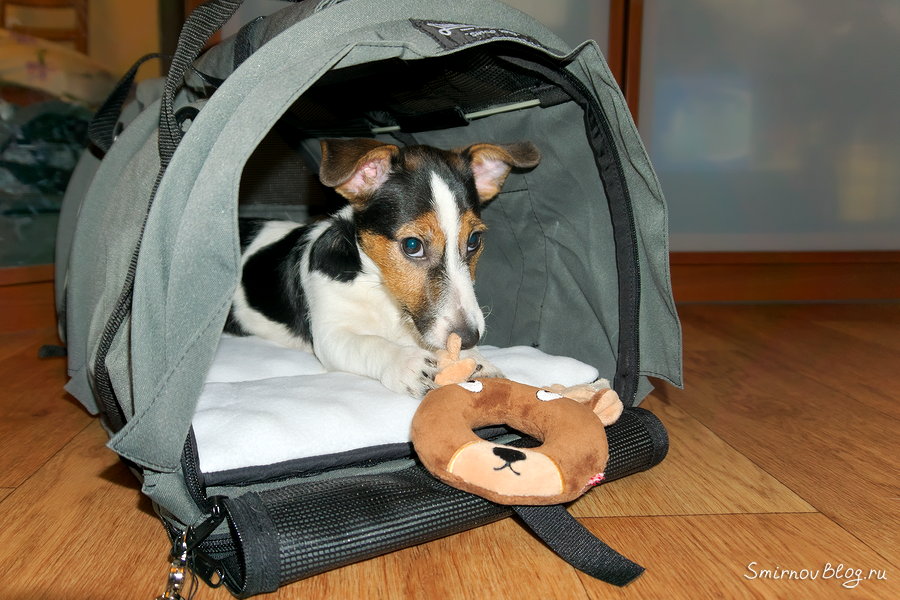 Скоро в отпуск Скоро в отпуск