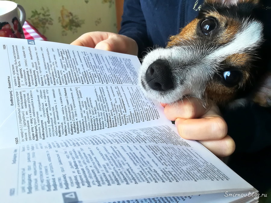 Скоро в отпуск Скоро в отпуск