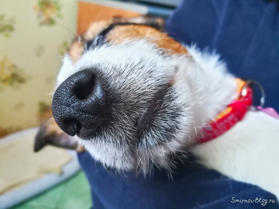 Скоро в отпуск Скоро в отпуск