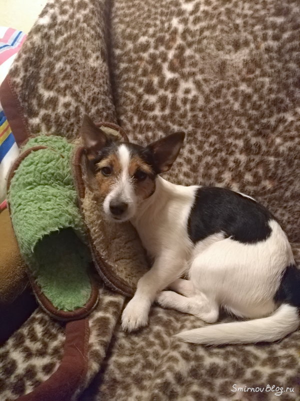 Скоро зима Скоро зима