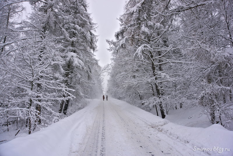 Скорей бы уже пришла зима