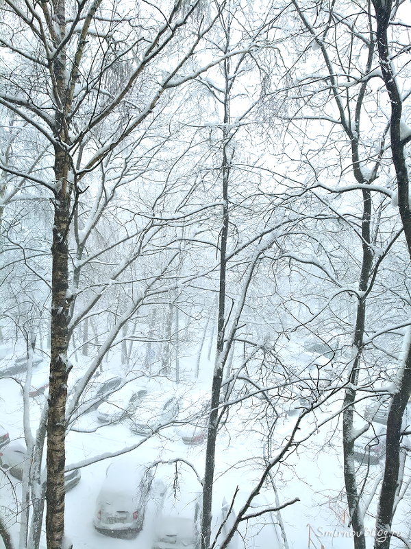 Скорей бы уже пришла зима