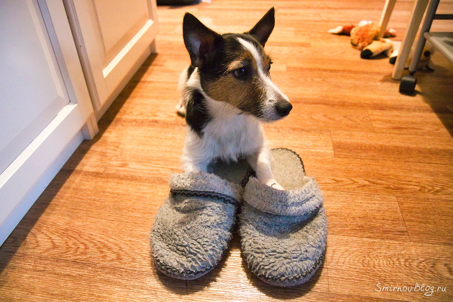 Шумные соседи снизу