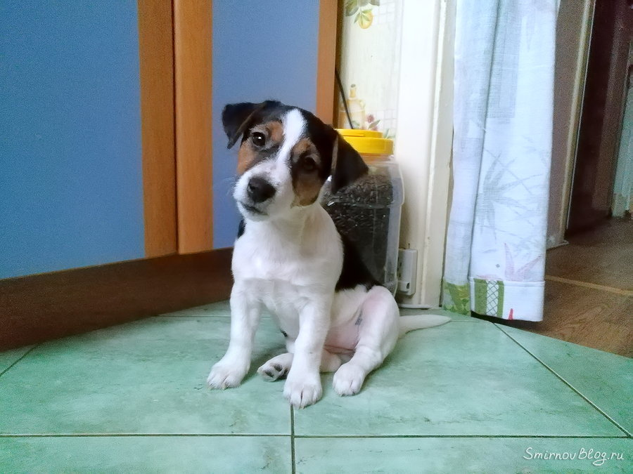 Утро понедельника Утро понедельника