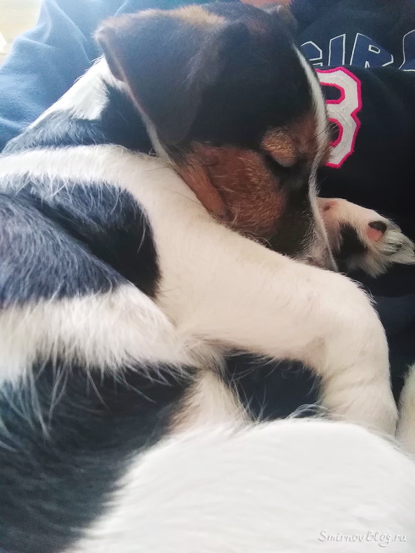 Весна не пришла или первая прогулка откладывается Весна не пришла или первая прогулка откладывается