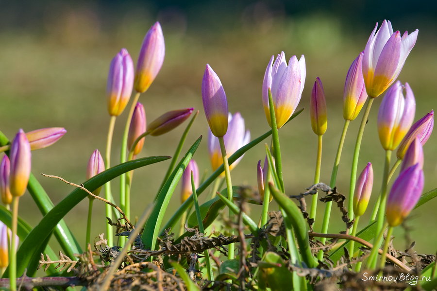 Поздравляем женщин с 8 марта! 