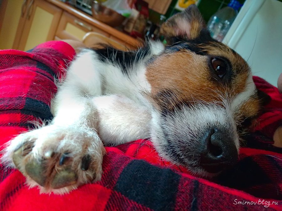 Всё будет хорошо! Всё будет хорошо!