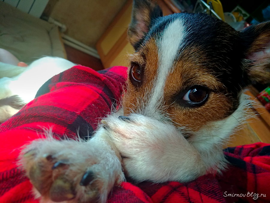 Всё будет хорошо! Всё будет хорошо!