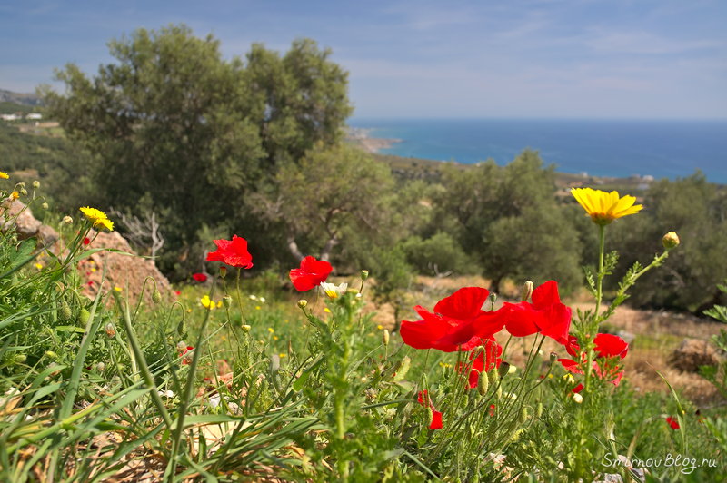 А как там сейчас, на курорте