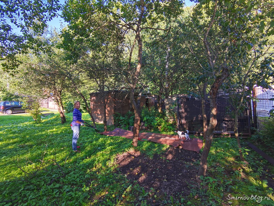 Сотка земли с разным хламом