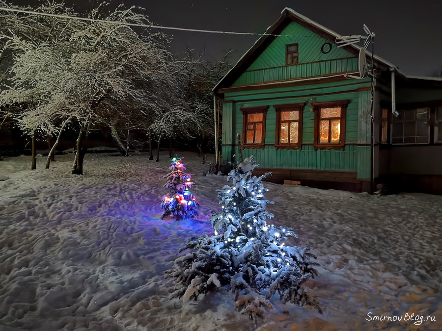 Почему нельзя сажать ёлки на участке? Что ещё за приметы? Почему нельзя сажать ёлки на участке? Что ещё за приметы?