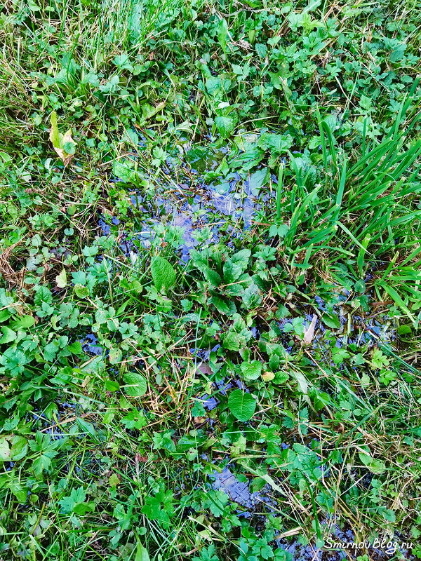 Прорвало трубу. Как найти трубопровод под землёй Прорвало трубу. Как найти трубопровод под землёй