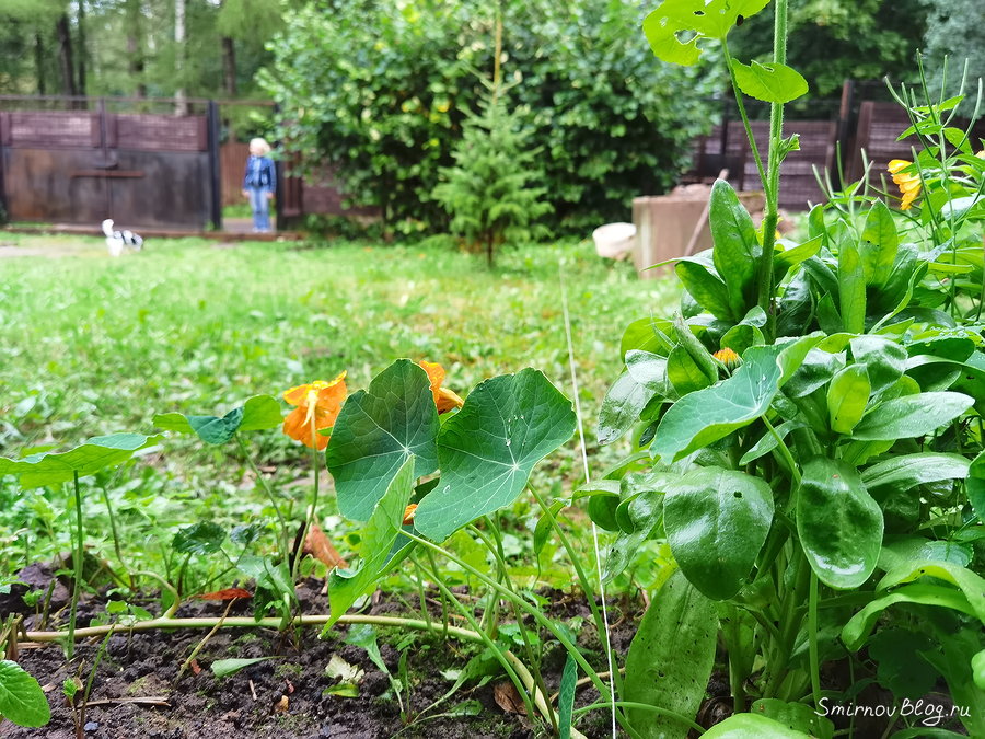 Прорвало трубу. Как найти трубопровод под землёй Прорвало трубу. Как найти трубопровод под землёй