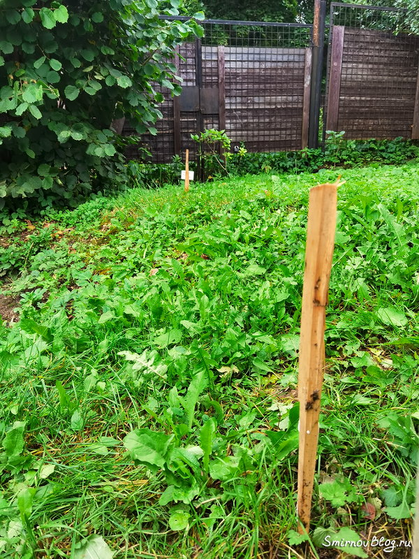 Поиск водопроводной трубы под землёй при помощи локатора (трассоискателя) Поиск водопроводной трубы под землёй при помощи локатора (трассоискателя)