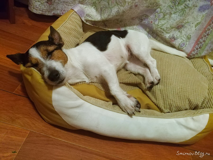 Летний сезон заканчивается Летний сезон заканчивается