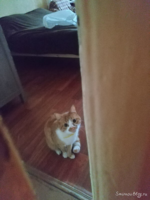 Незваный гость